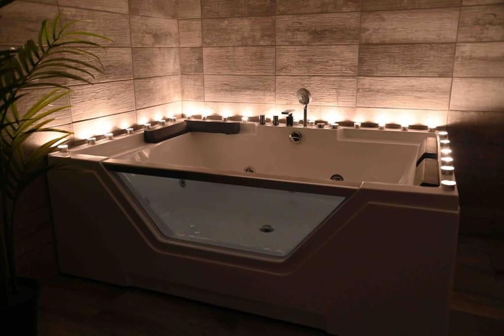 Superbe Appartement Avec Balneo. Saint-Cyprien  Eksteriør billede
