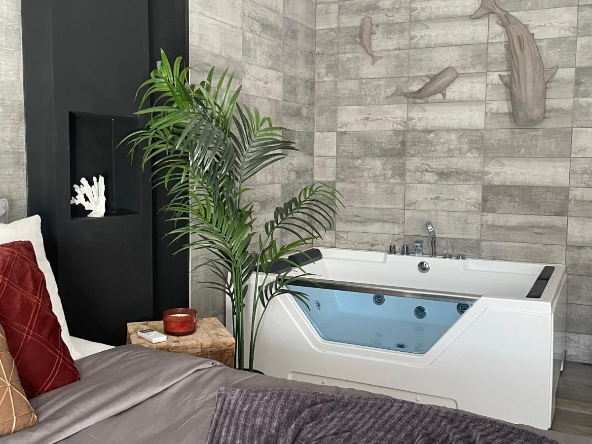 Superbe Appartement Avec Balneo. Saint-Cyprien  Eksteriør billede